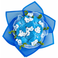 Bouquet_bleu_blanc