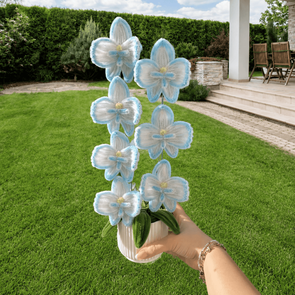 Composition florale - « Aqua Orchid » - Orchidées