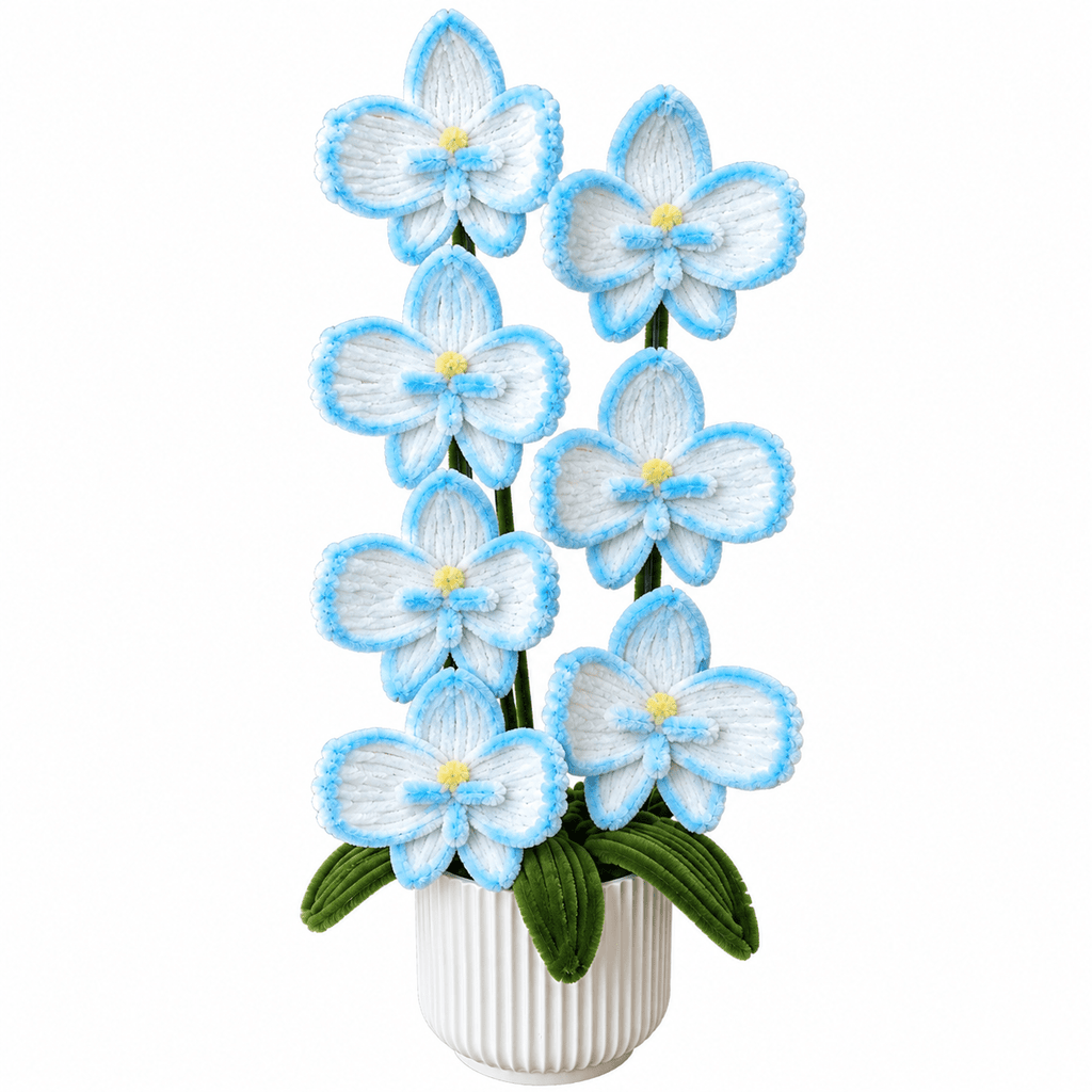 Composition florale - « Aqua Orchid » - Orchidées