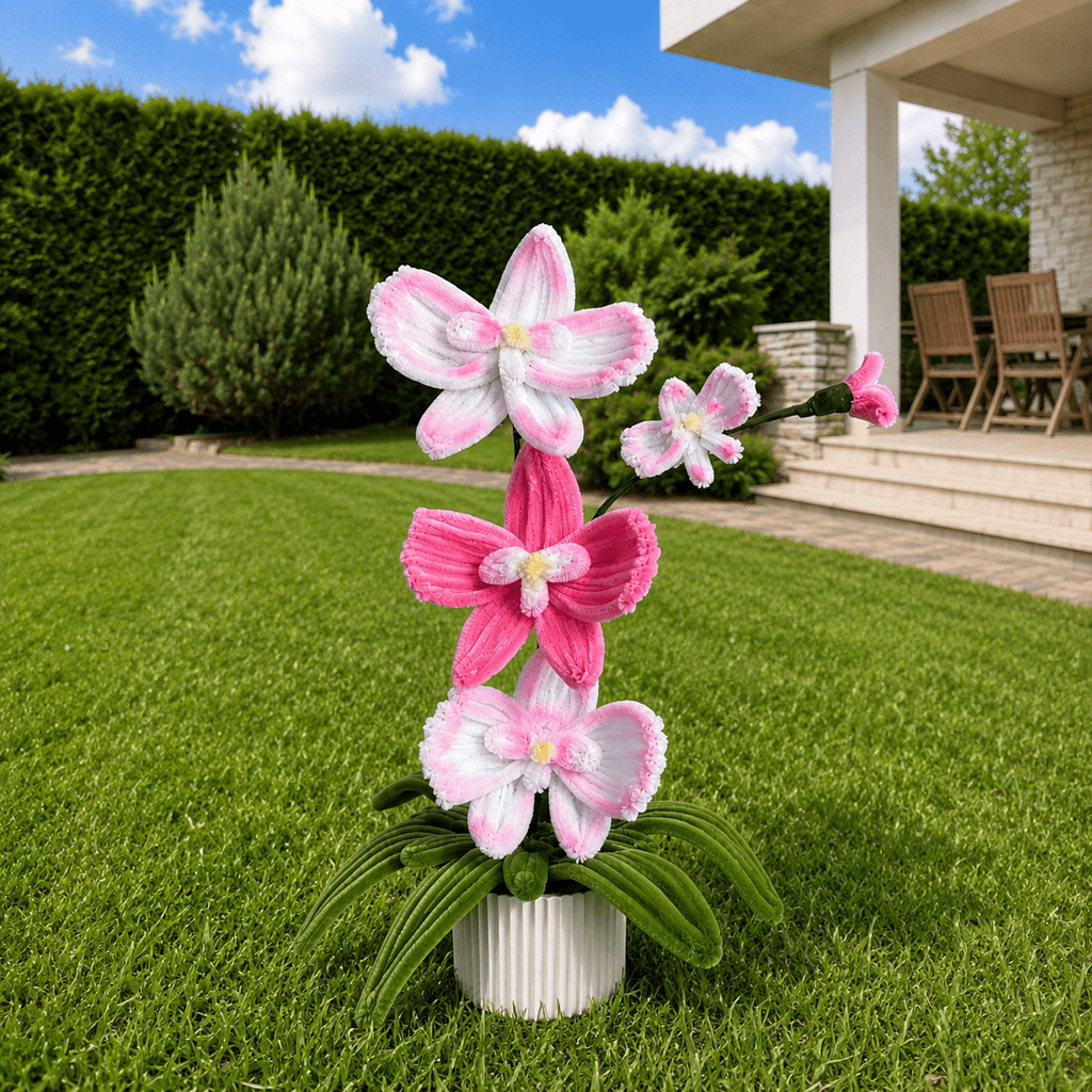 Composition florale d’orchidées - « Orchid Garden »
