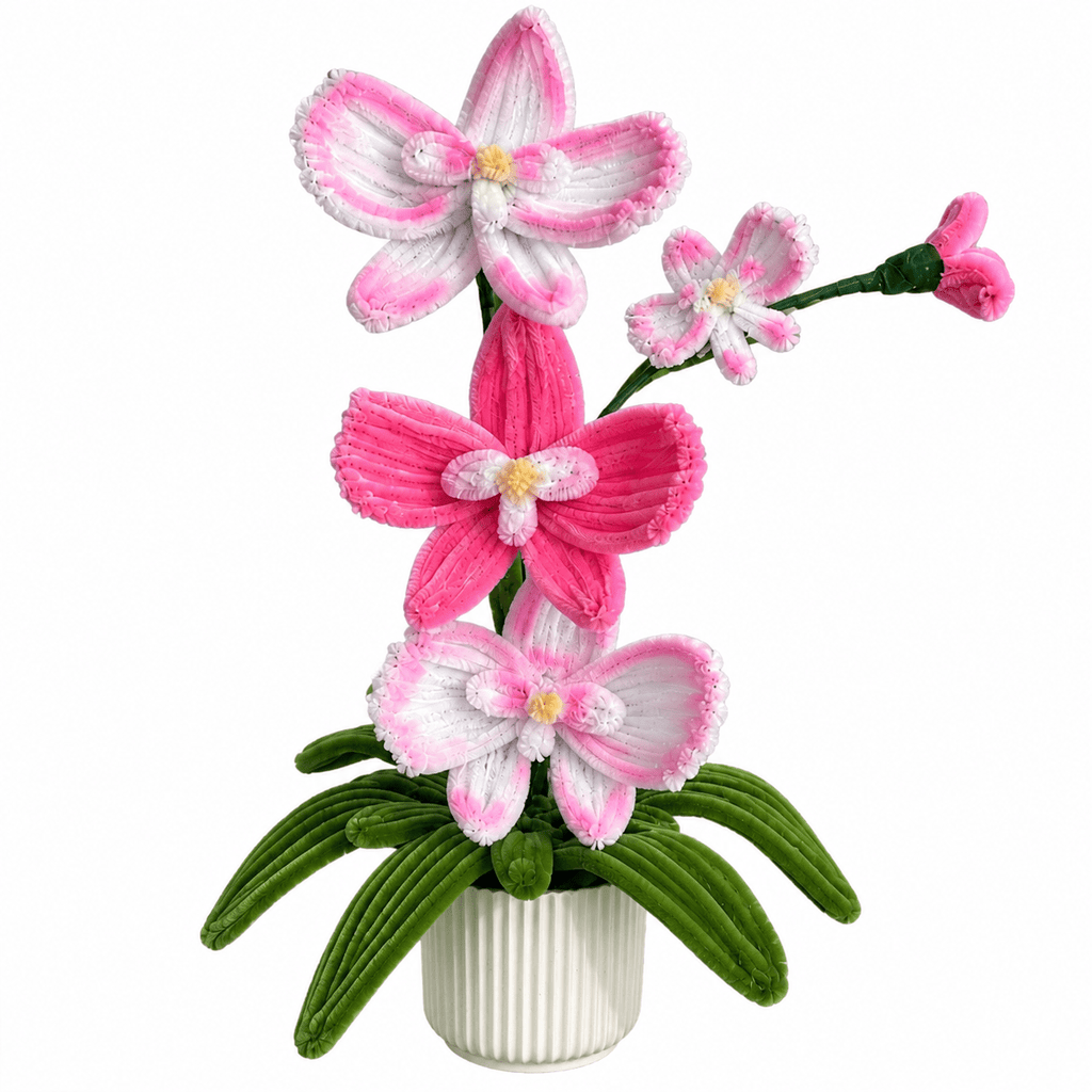 Composition florale d’orchidées - « Orchid Garden »