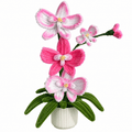 Composition florale d’orchidées - « Orchid Garden »