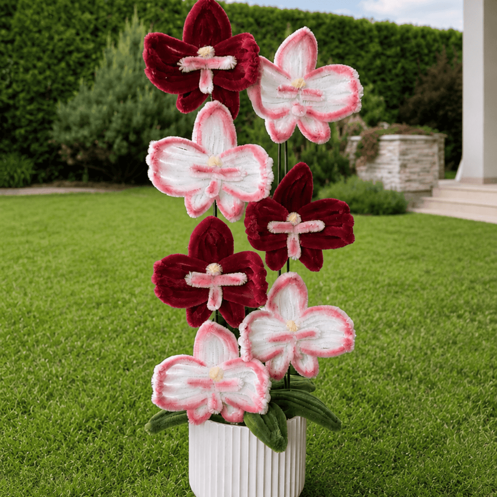 Composition florale d'orchidées bordeau et blanche. Fleurs éternelles, ne fanent pas. Pour offrir, anniversaire, mariage, cadeau, saint valentin.