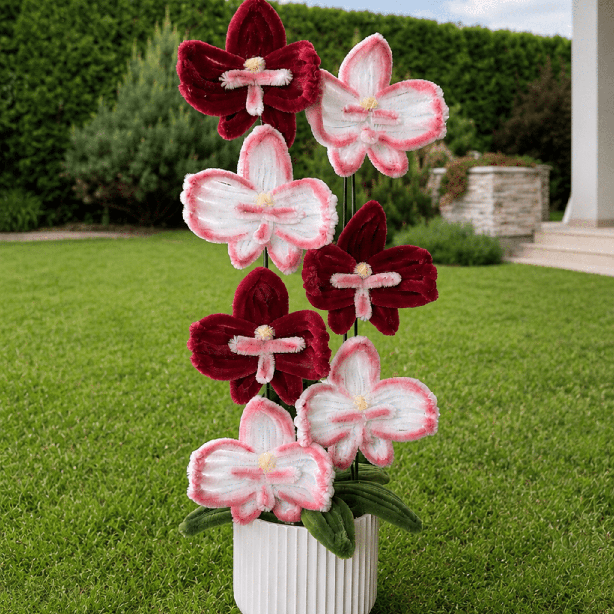 Composition florale - « Red Orchid » - Orchidées