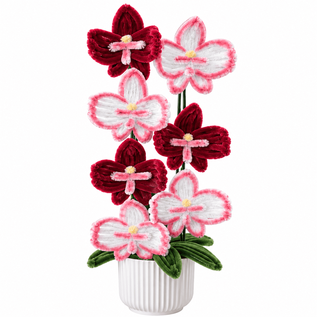 Composition florale - « Red Orchid » - Orchidées