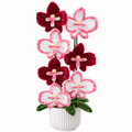 Composition florale - « Red Orchid » - Orchidées