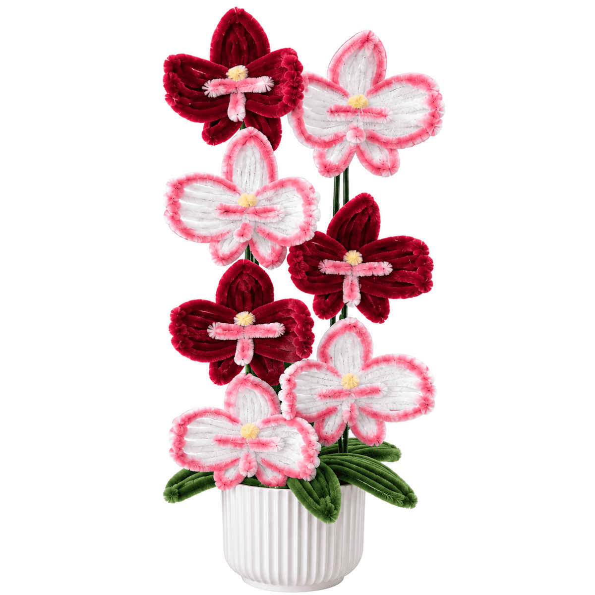 Composition florale - « Red Orchid » - Orchidées