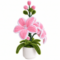 Composition florale - « trio de lys »