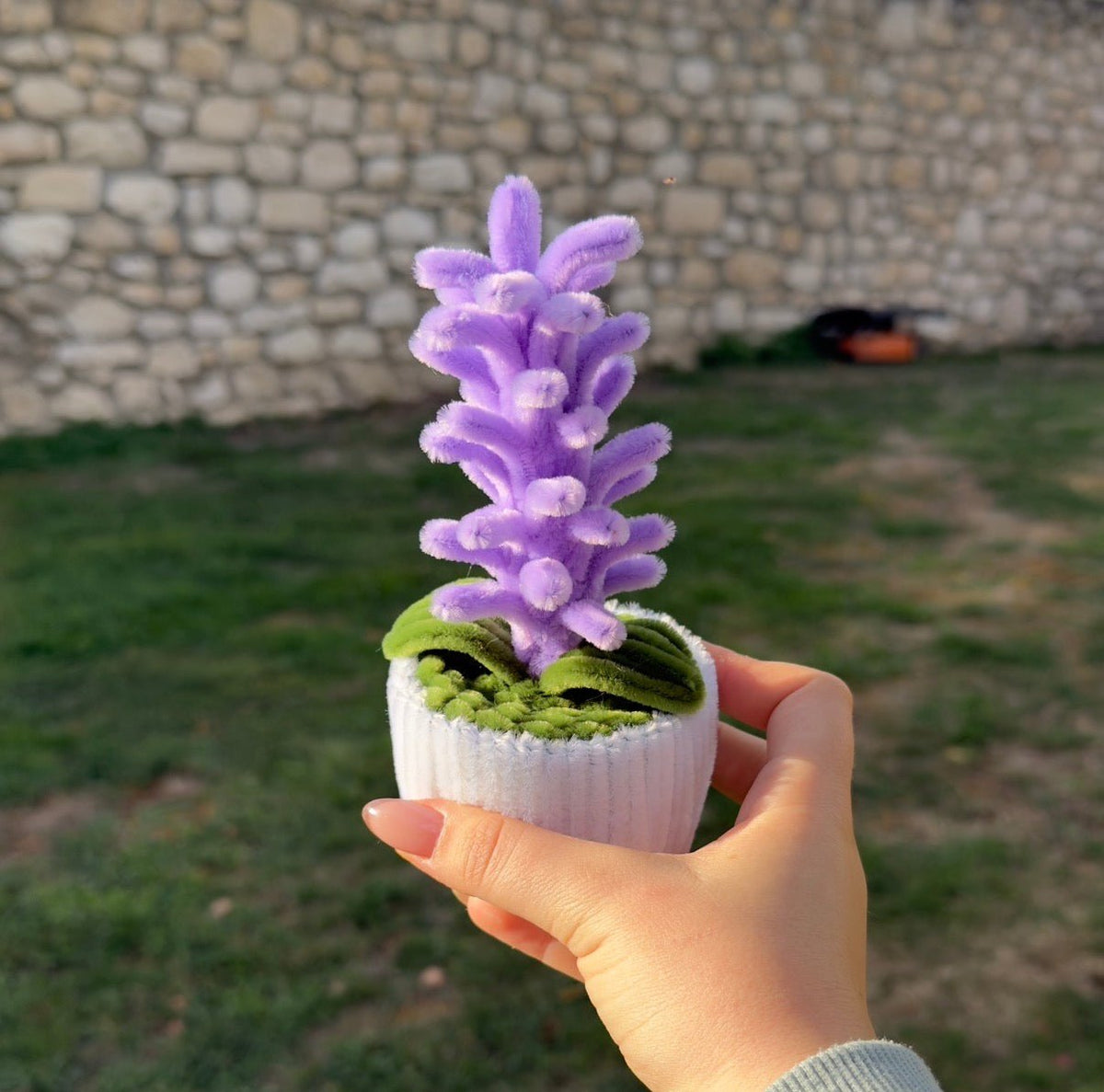 Mini_Pot_Jacinthe_Violette_2
