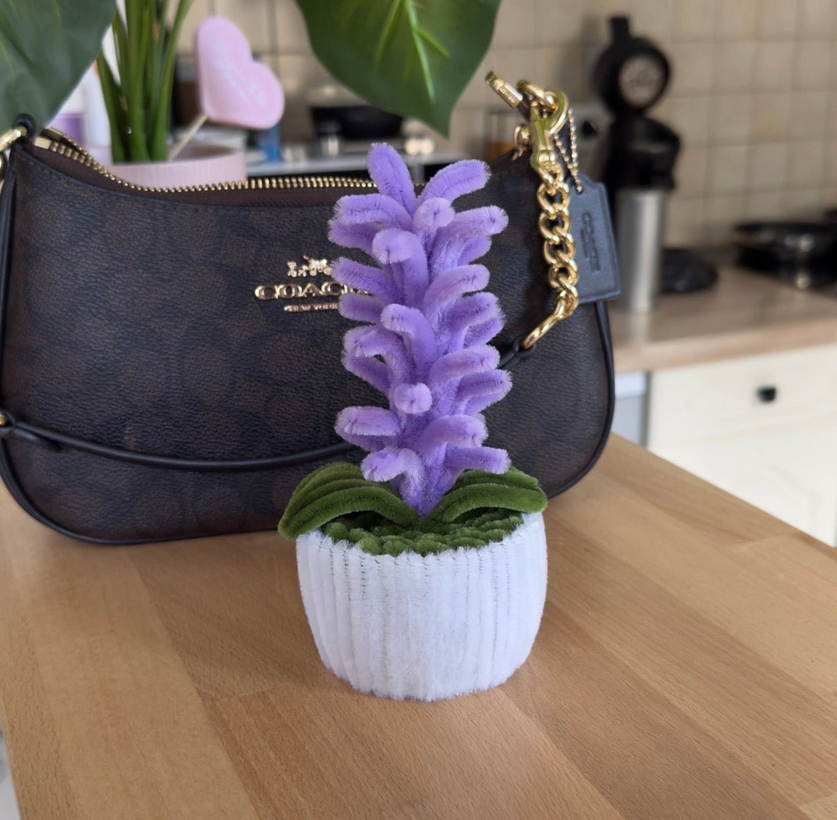 Mini_Pot_Jacinthe_Violette_4