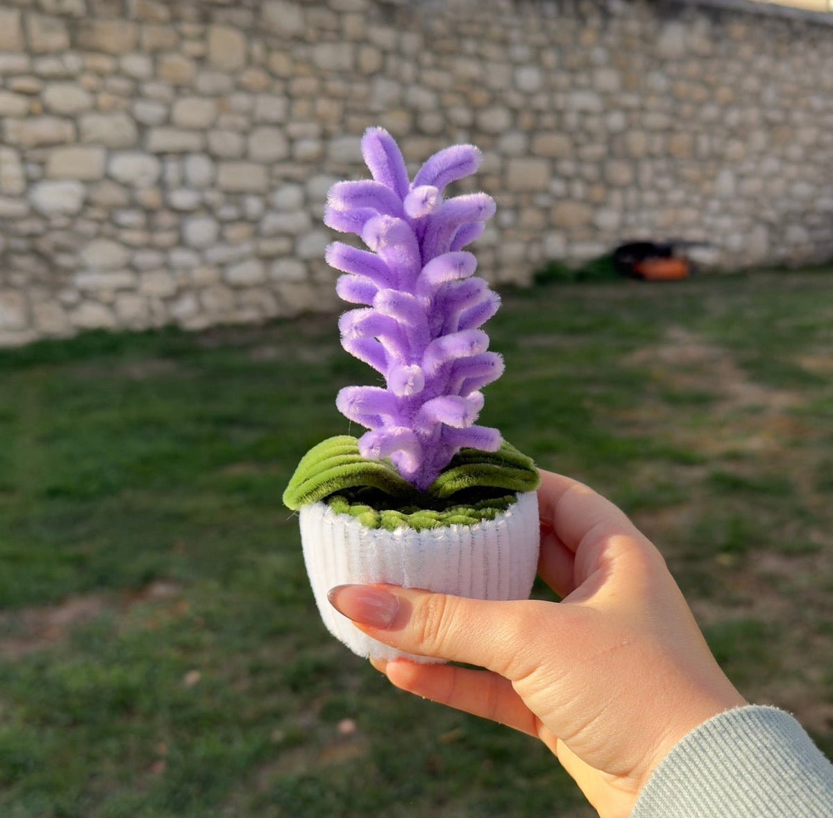 Mini Pot "Jacinthe Violette"1