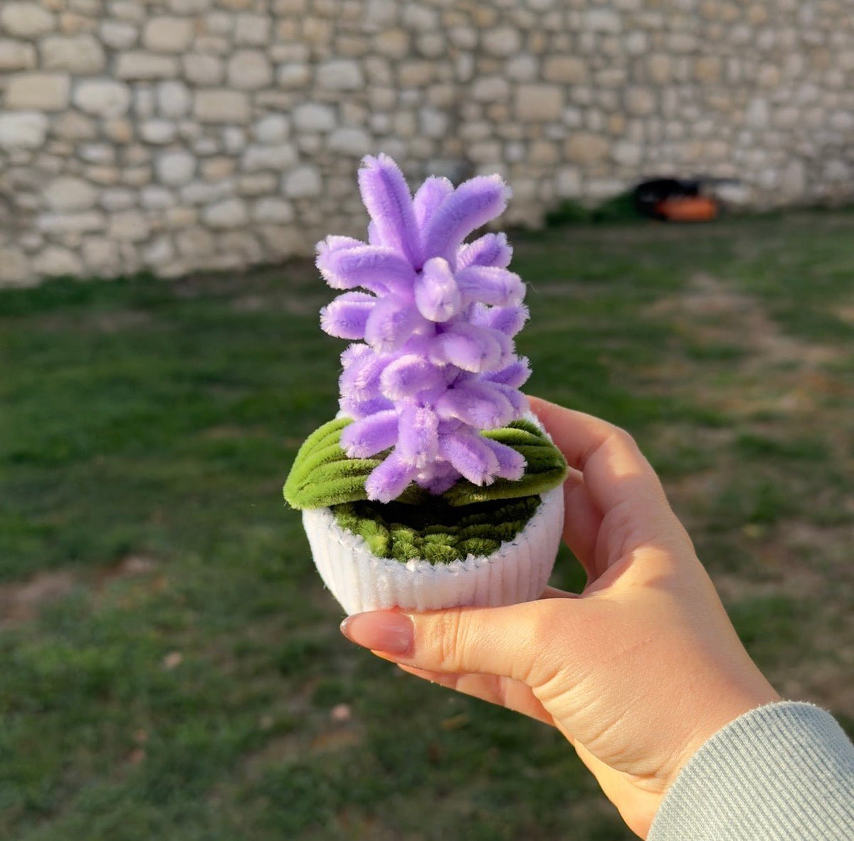 Mini_Pot_Jacinthe_Violette_3