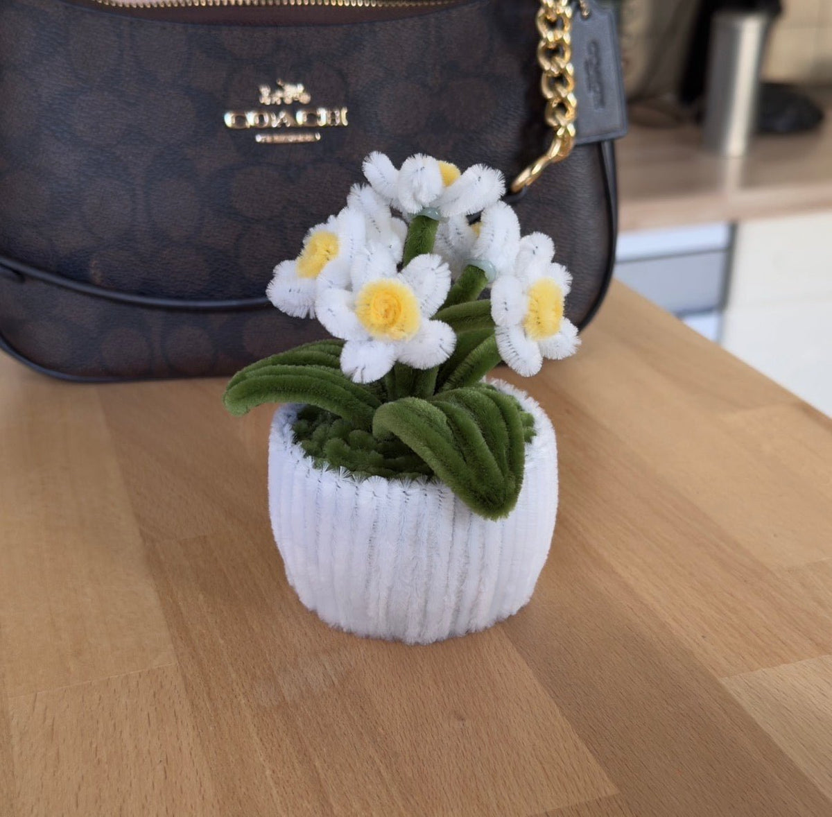 Mini Pot "Marguerite Blanche"5