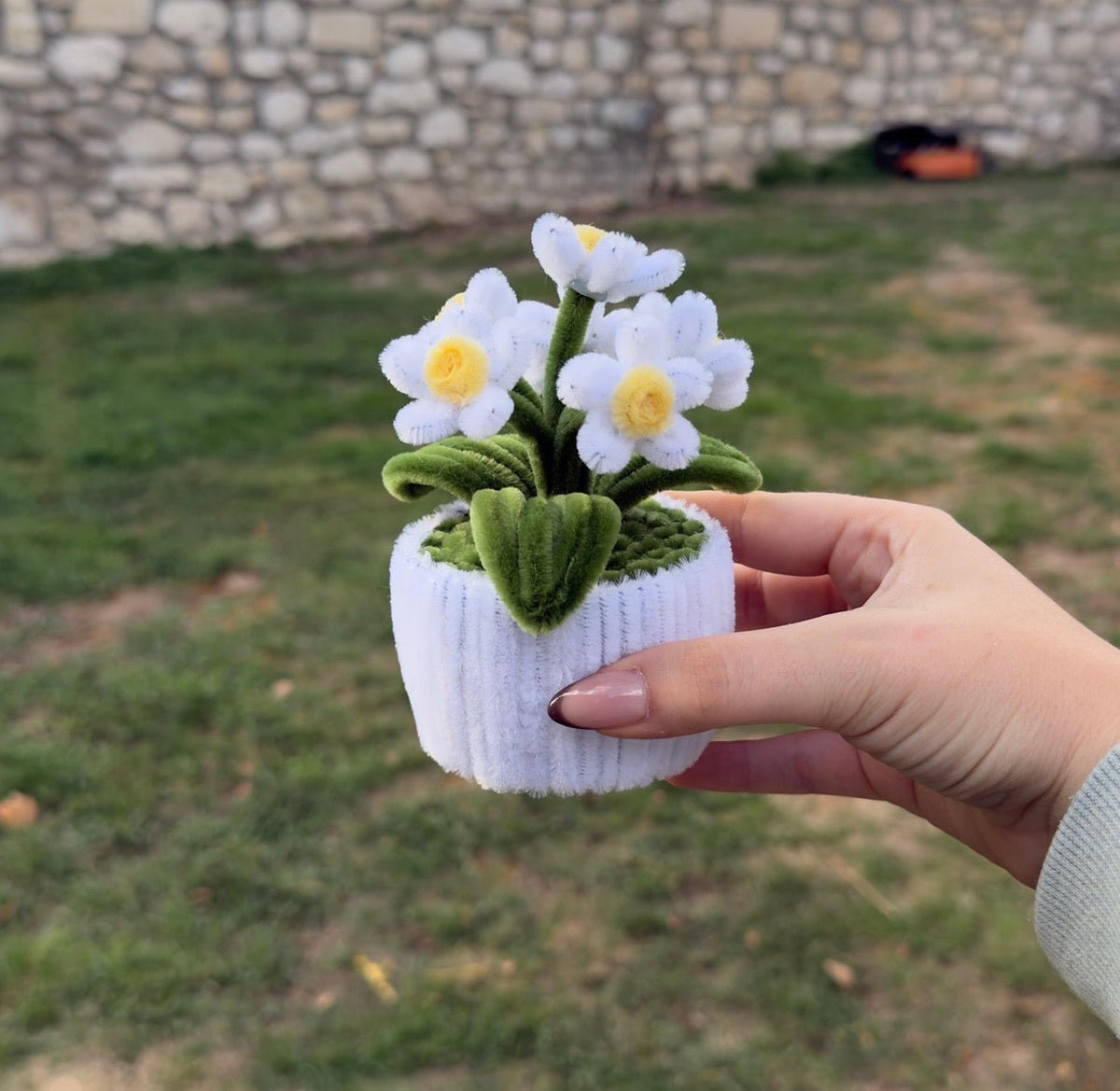 Mini Pot "Marguerite Blanche"4