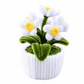 Mini Pot "Marguerite Blanche"1