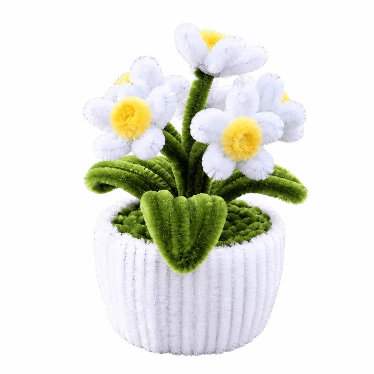 Mini Pot "Marguerite Blanche"1
