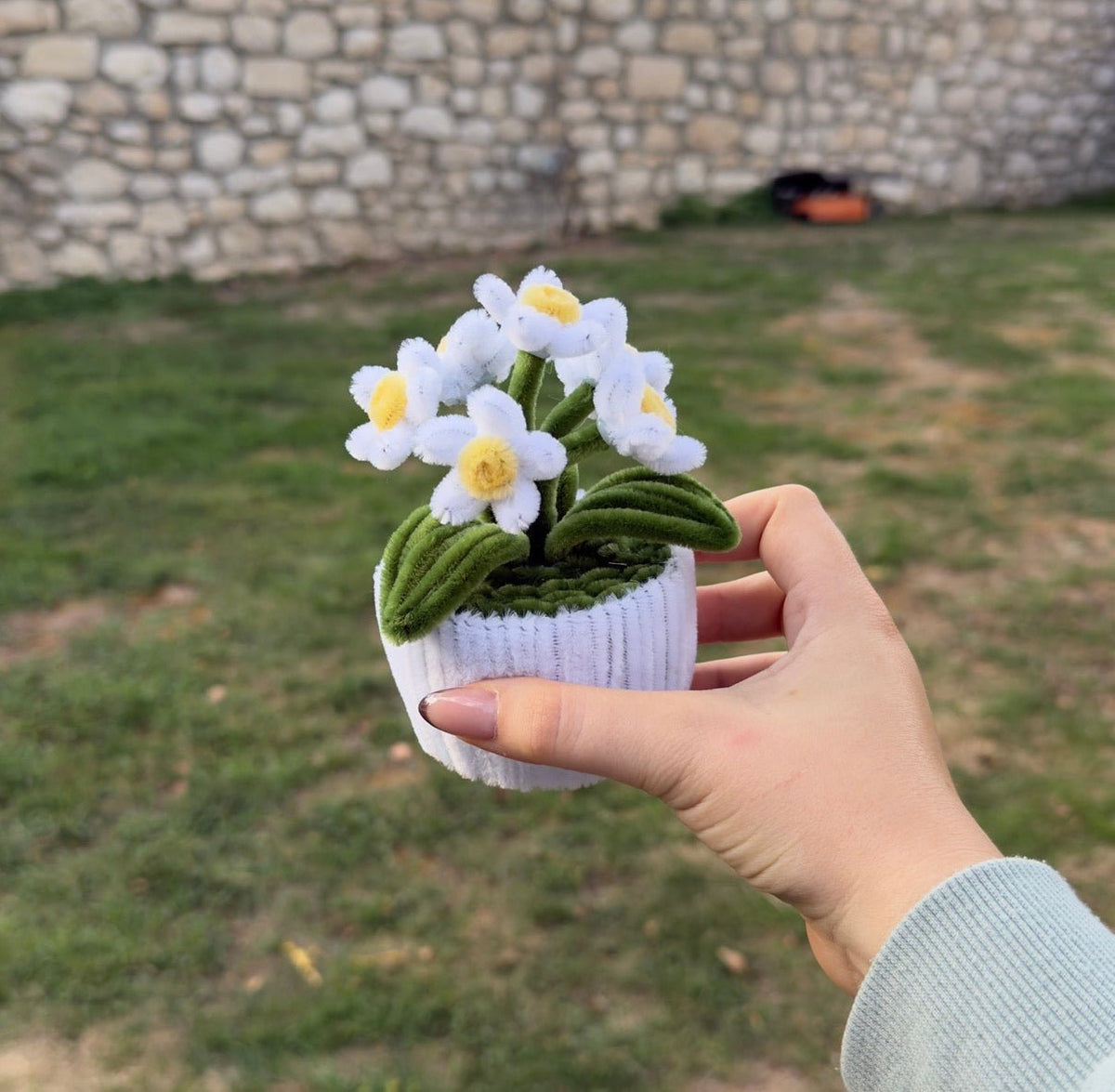 Mini Pot "Marguerite Blanche"2