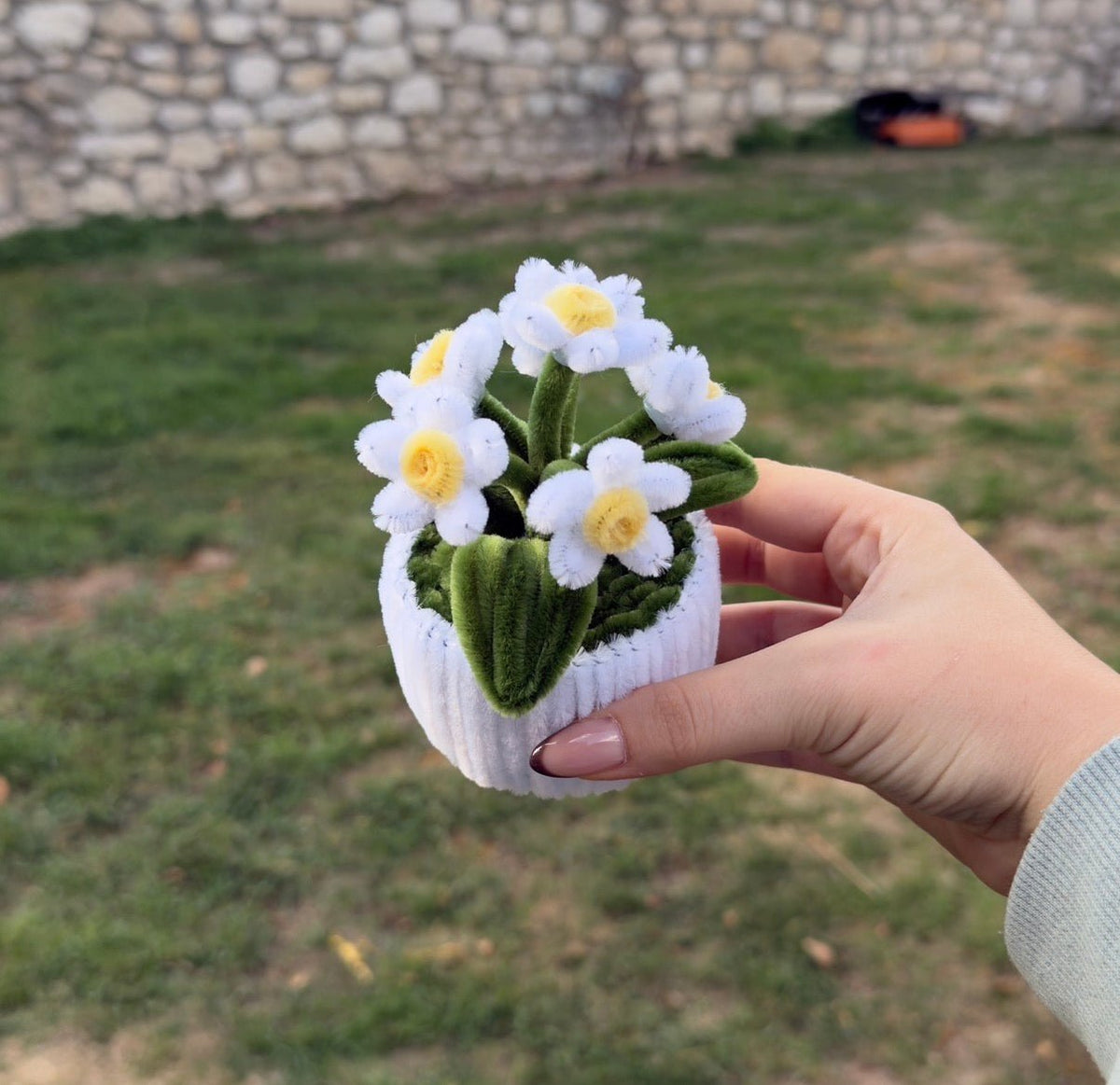 Mini Pot "Marguerite Blanche"3