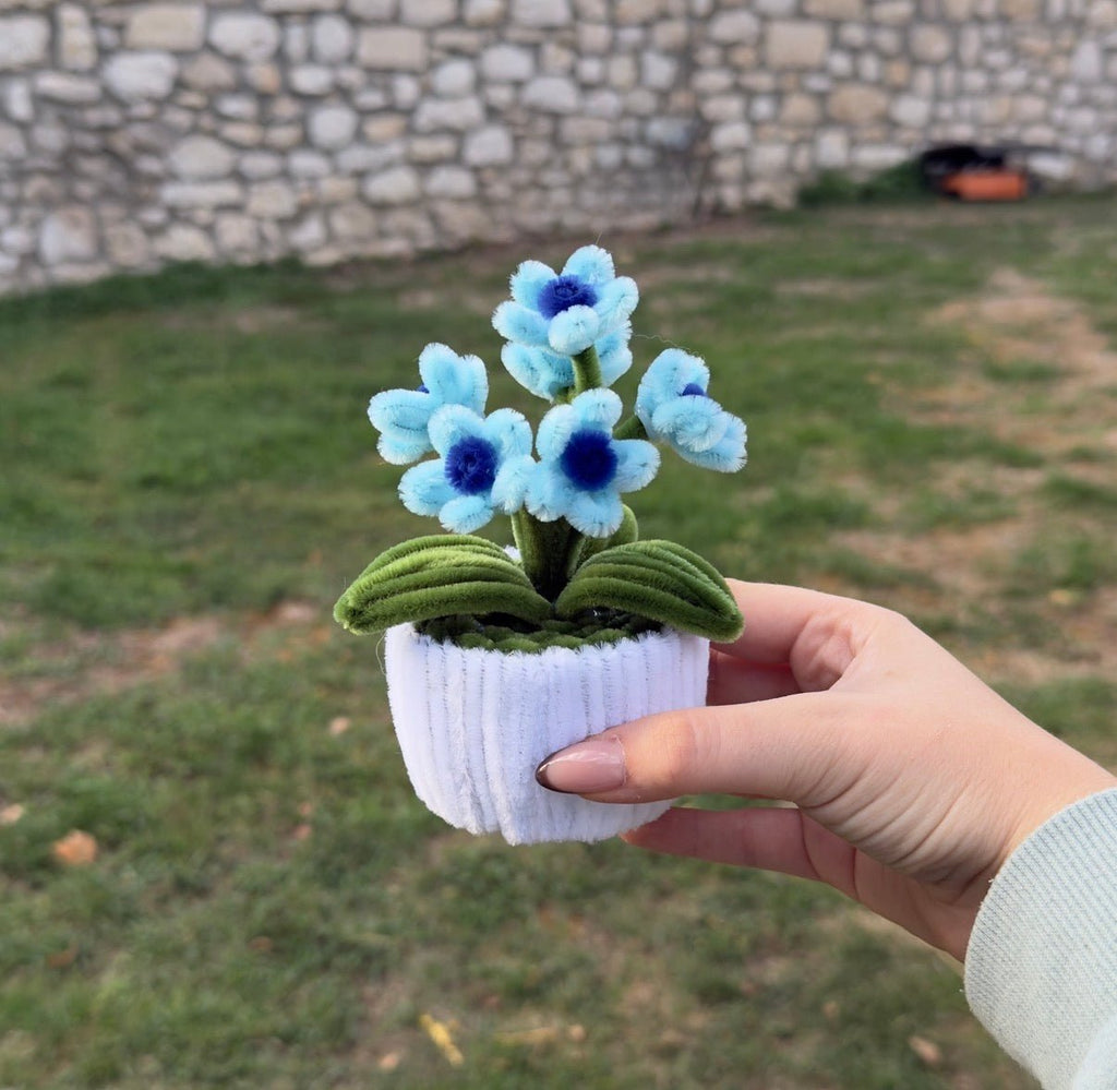 Mini_Pot_Marguerite_Bleu_Ciel2