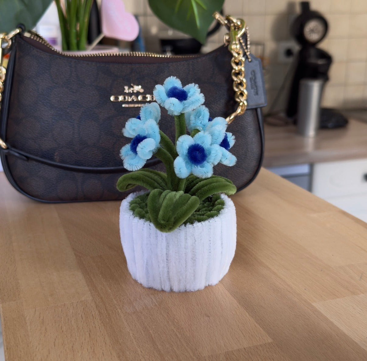 Mini_Pot_Marguerite_Bleu_Ciel4