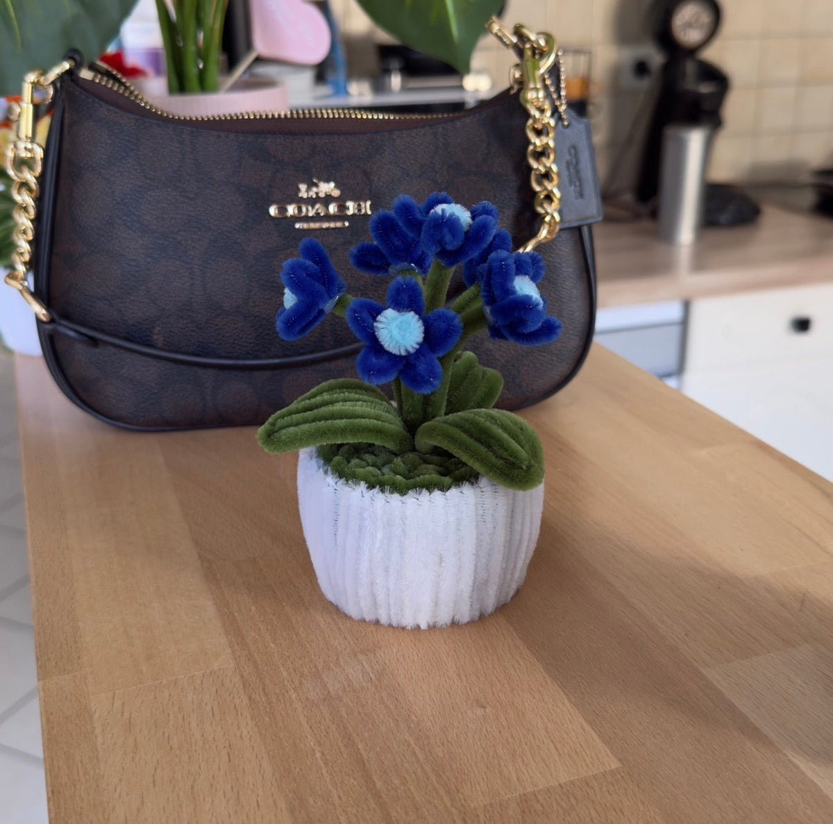 Mini Pot "Marguerite Bleu Nuit"4