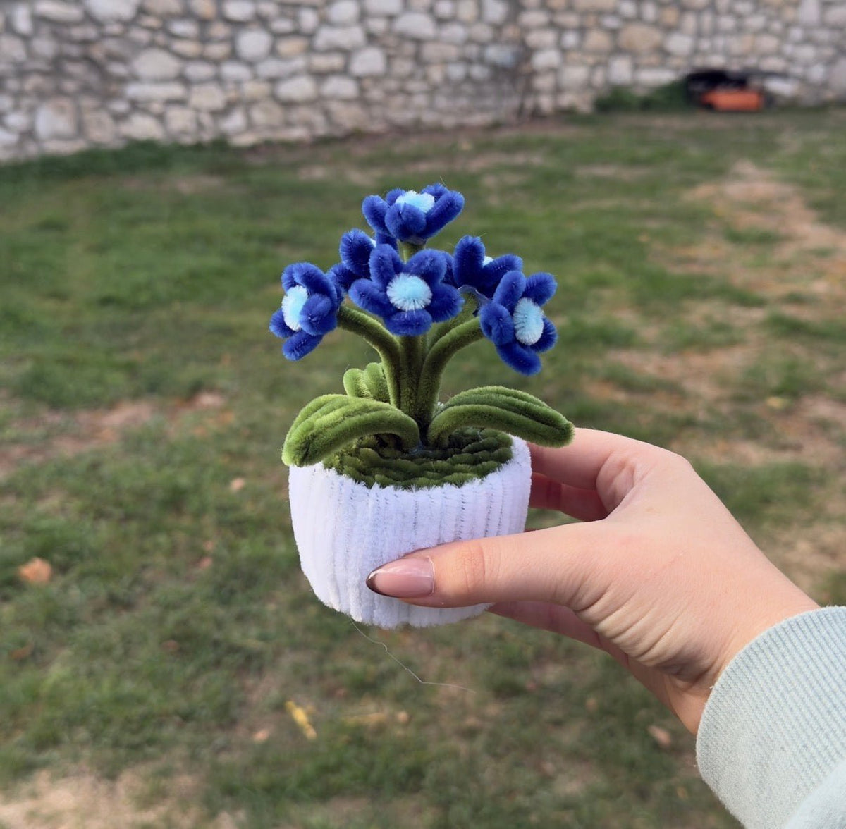 Mini Pot "Marguerite Bleu Nuit"3