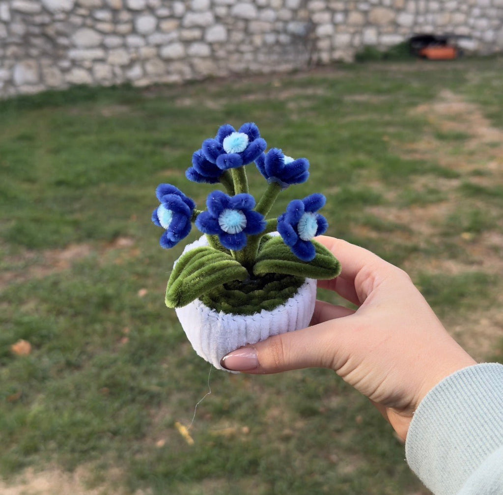 Mini Pot "Marguerite Bleu Nuit"1