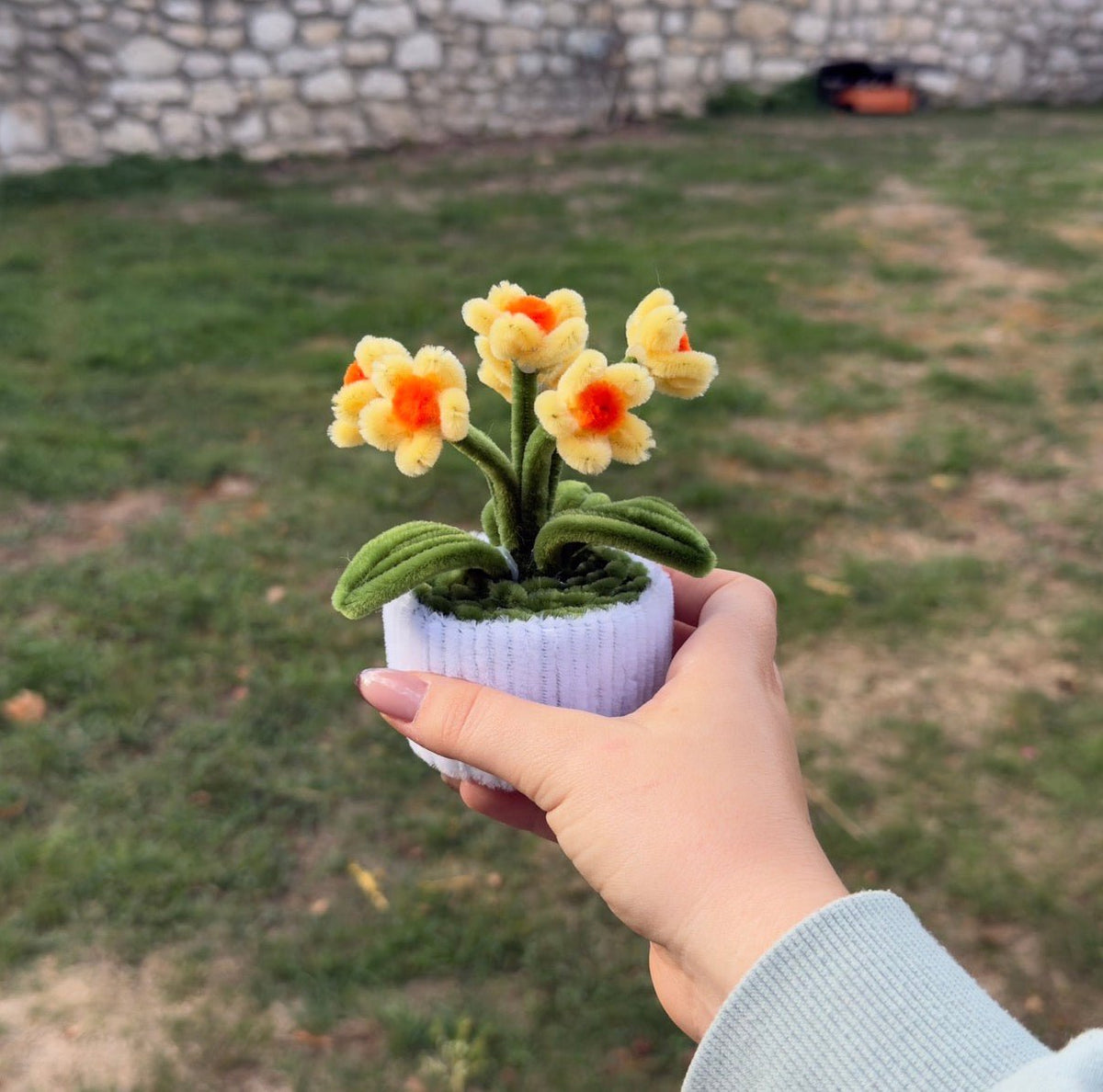 Mini Pot "Marguerite Jaune"3