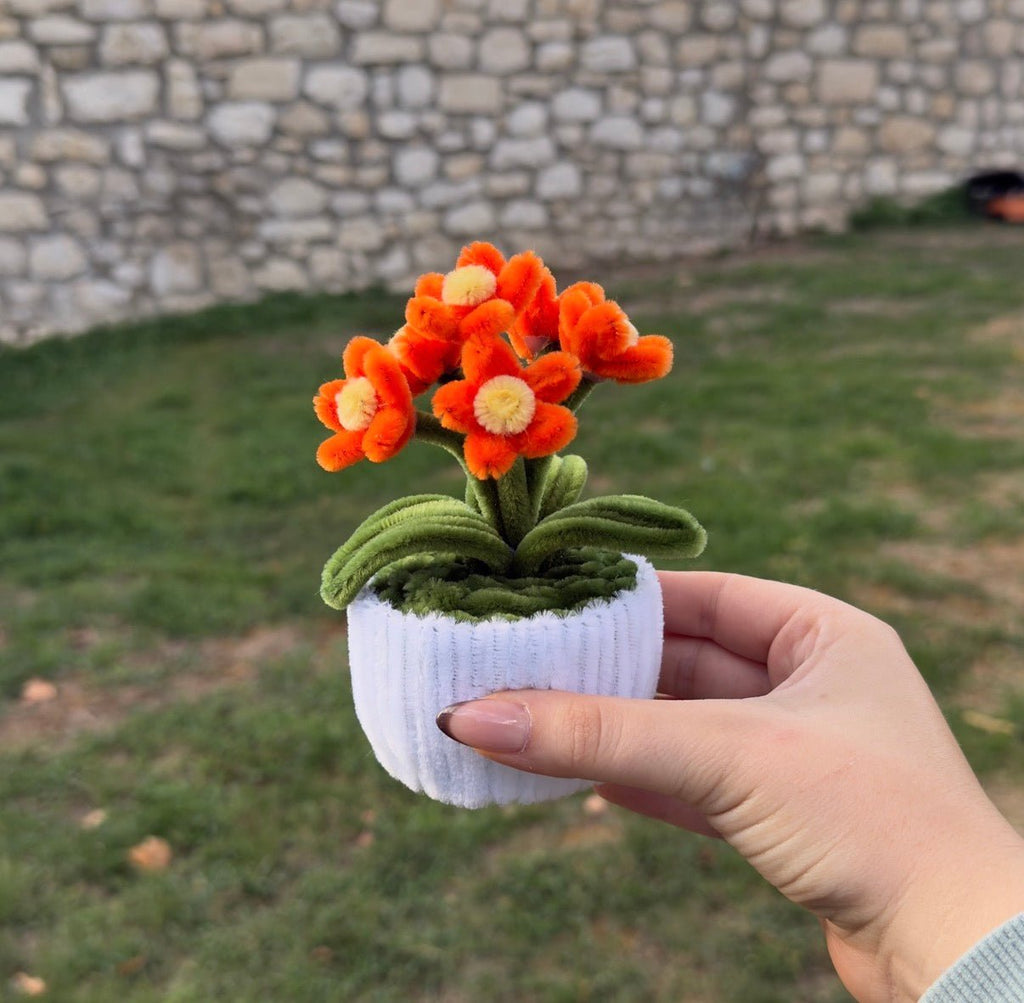 Mini Pot "Marguerite Orange"2