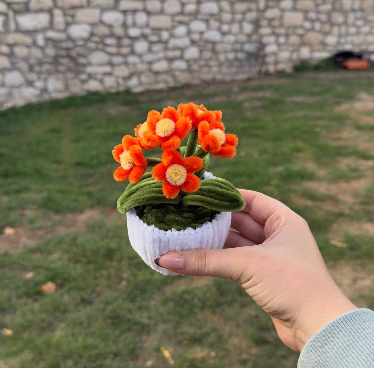 Mini Pot "Marguerite Orange"1