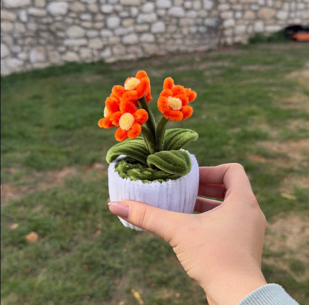 Mini Pot "Marguerite Orange"3
