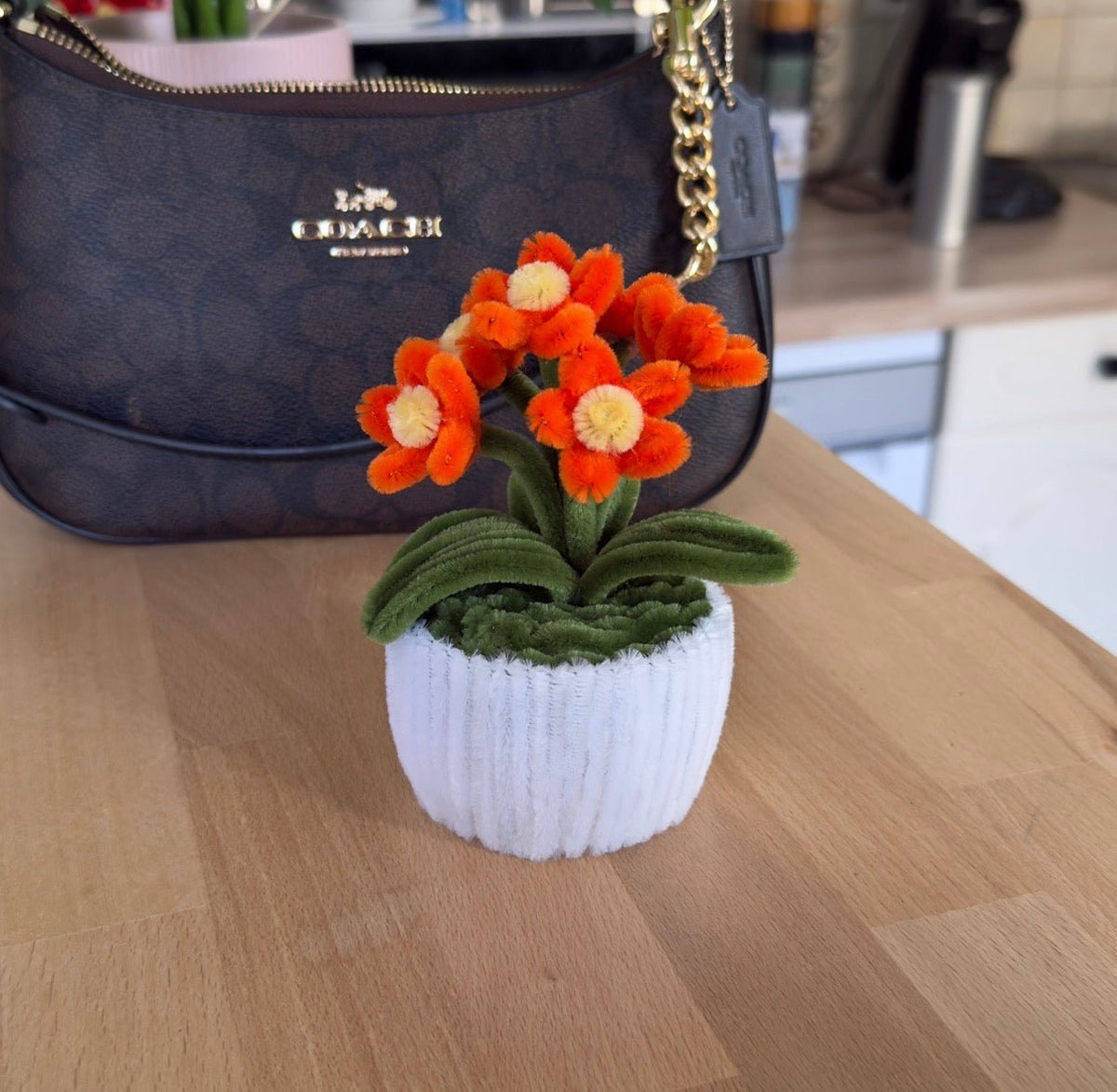 Mini Pot "Marguerite Orange"4