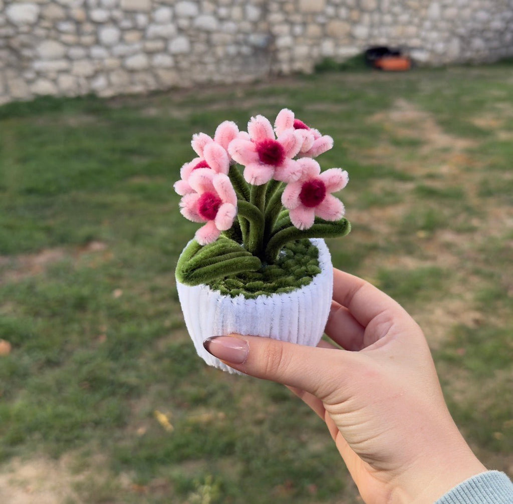 Mini Pot "Marguerite Rose" 3