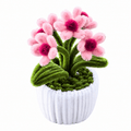Mini Pot "Marguerite Rose" Fond blanc