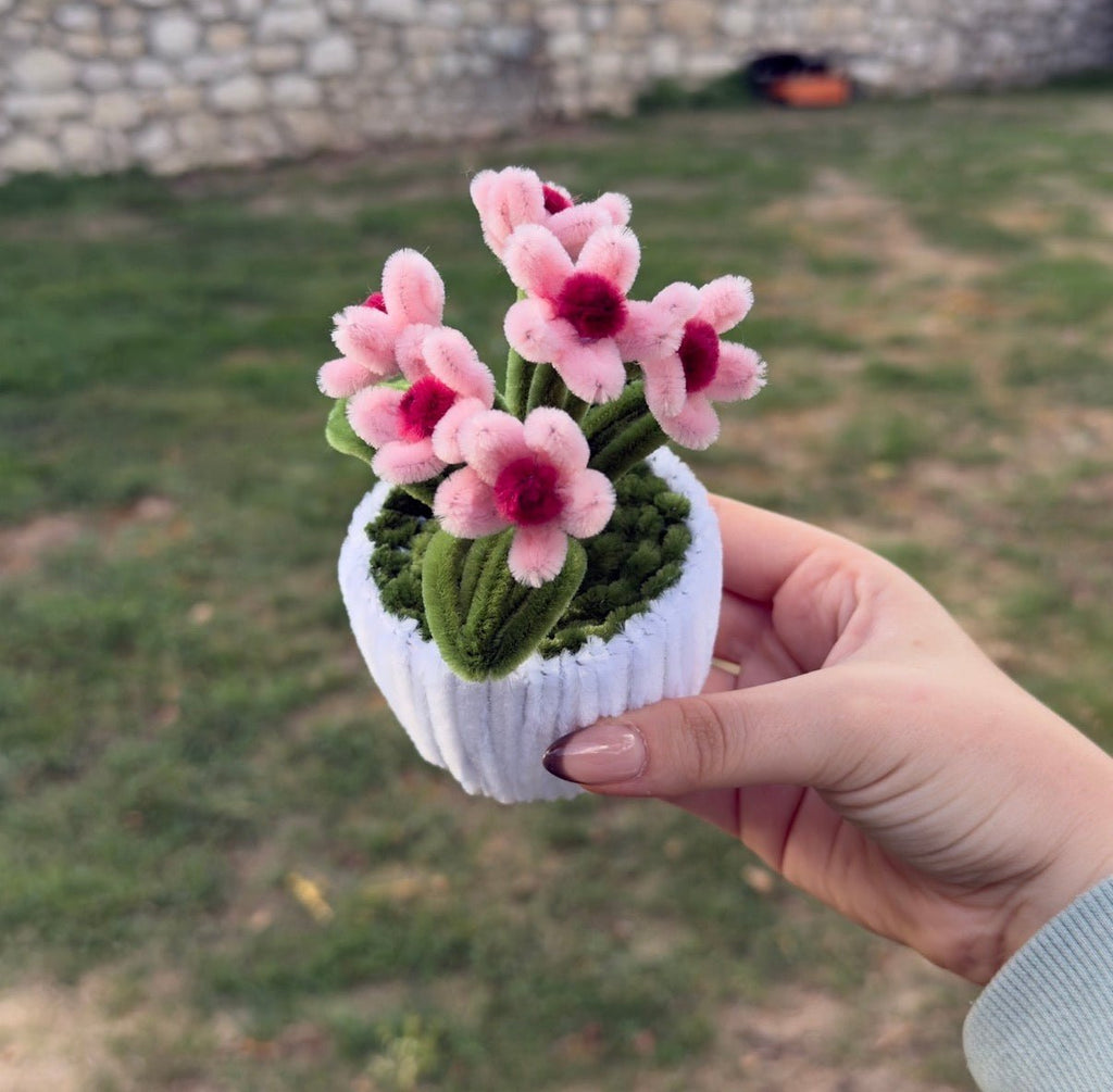 Mini Pot "Marguerite Rose" 2