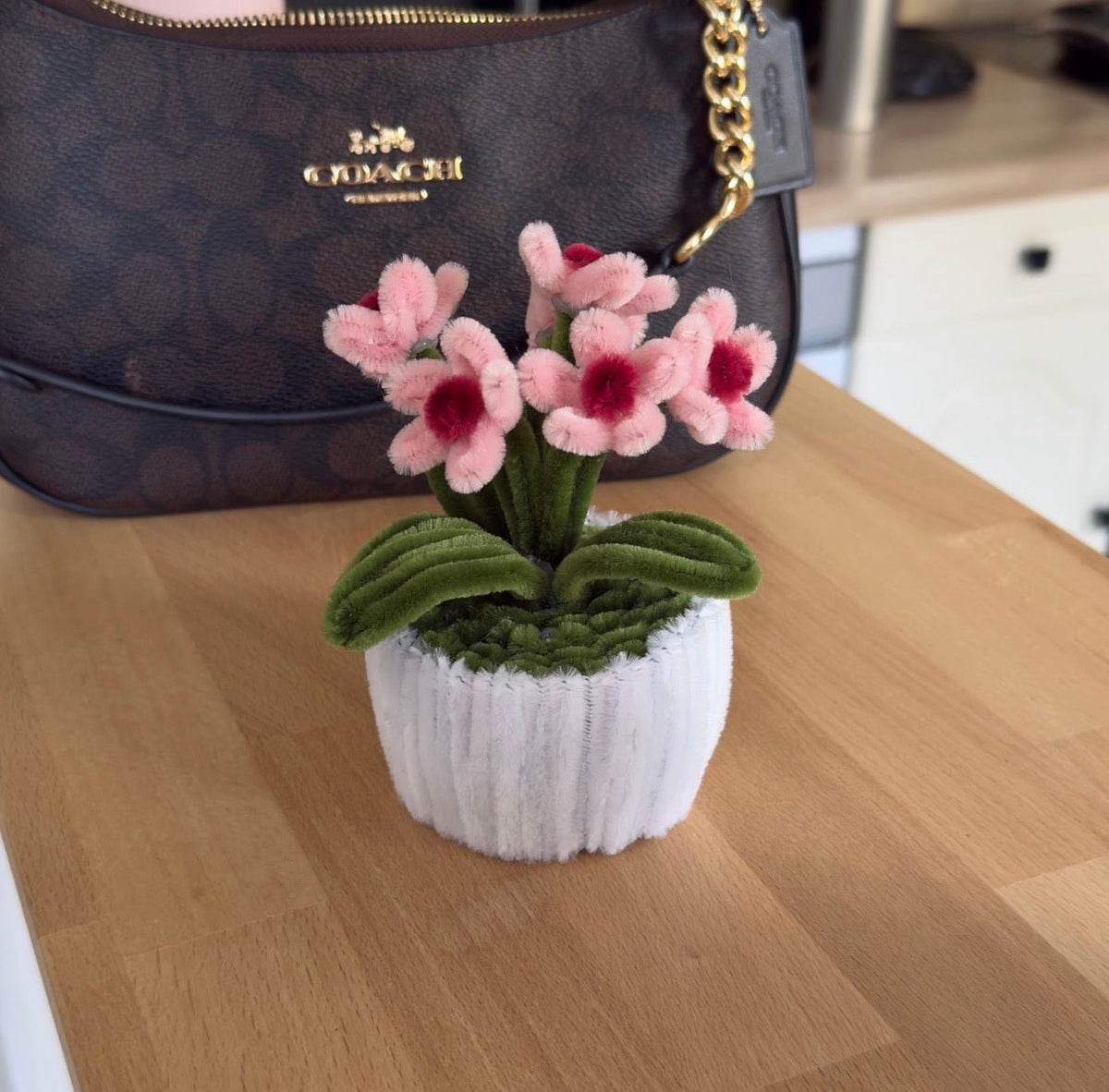 Mini Pot "Marguerite Rose" 4