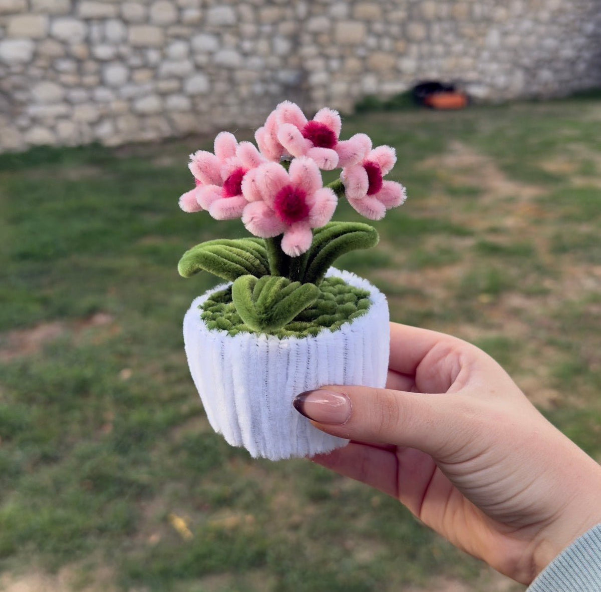 Mini Pot "Marguerite Rose" 1