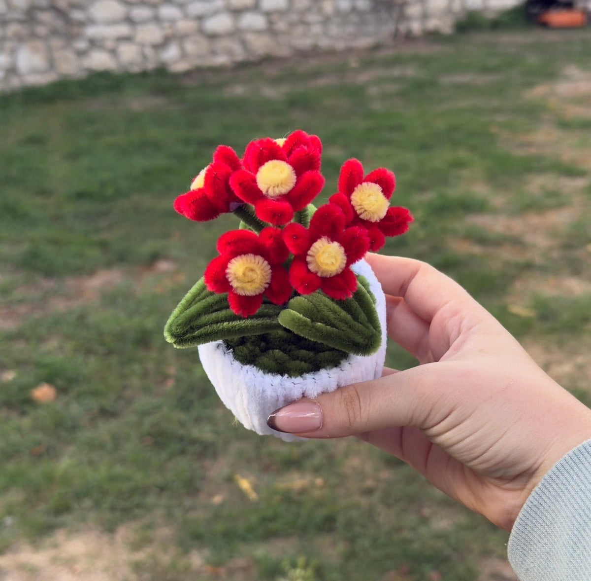 Mini Pot "Marguerite Rouge"3