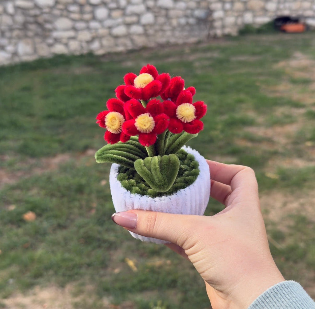 Mini Pot "Marguerite Rouge"2