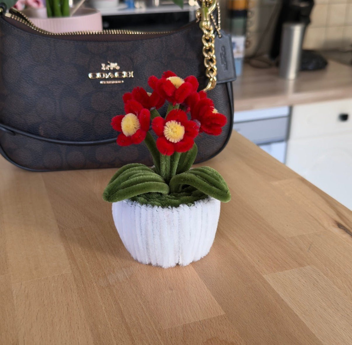 Mini Pot "Marguerite Rouge"5