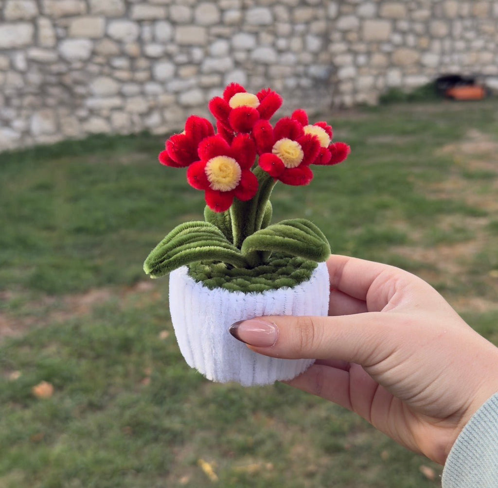 Mini Pot "Marguerite Rouge"4