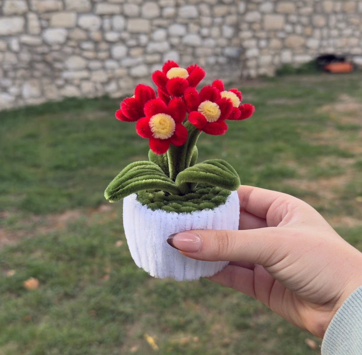 Mini Pot "Marguerite Rouge"4