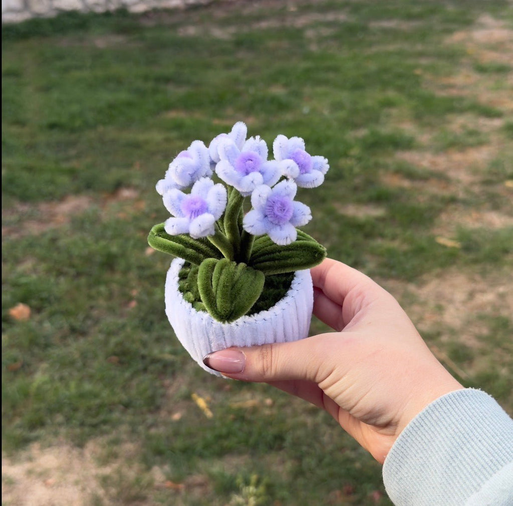 Mini Pot "Marguerite Violet Pastel"2