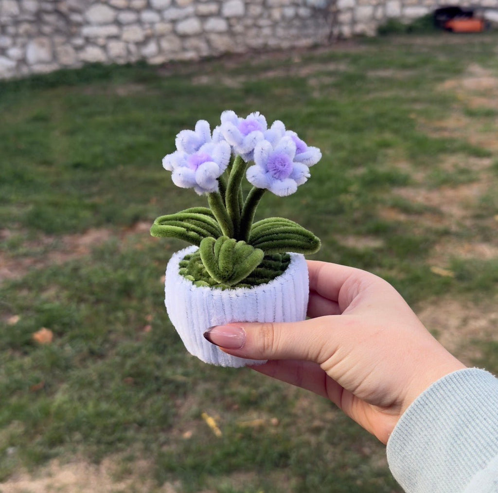 Mini Pot "Marguerite Violet Pastel"4