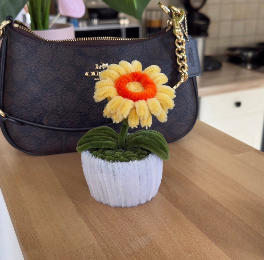 Mini Pot "Soleil d'Or"3
