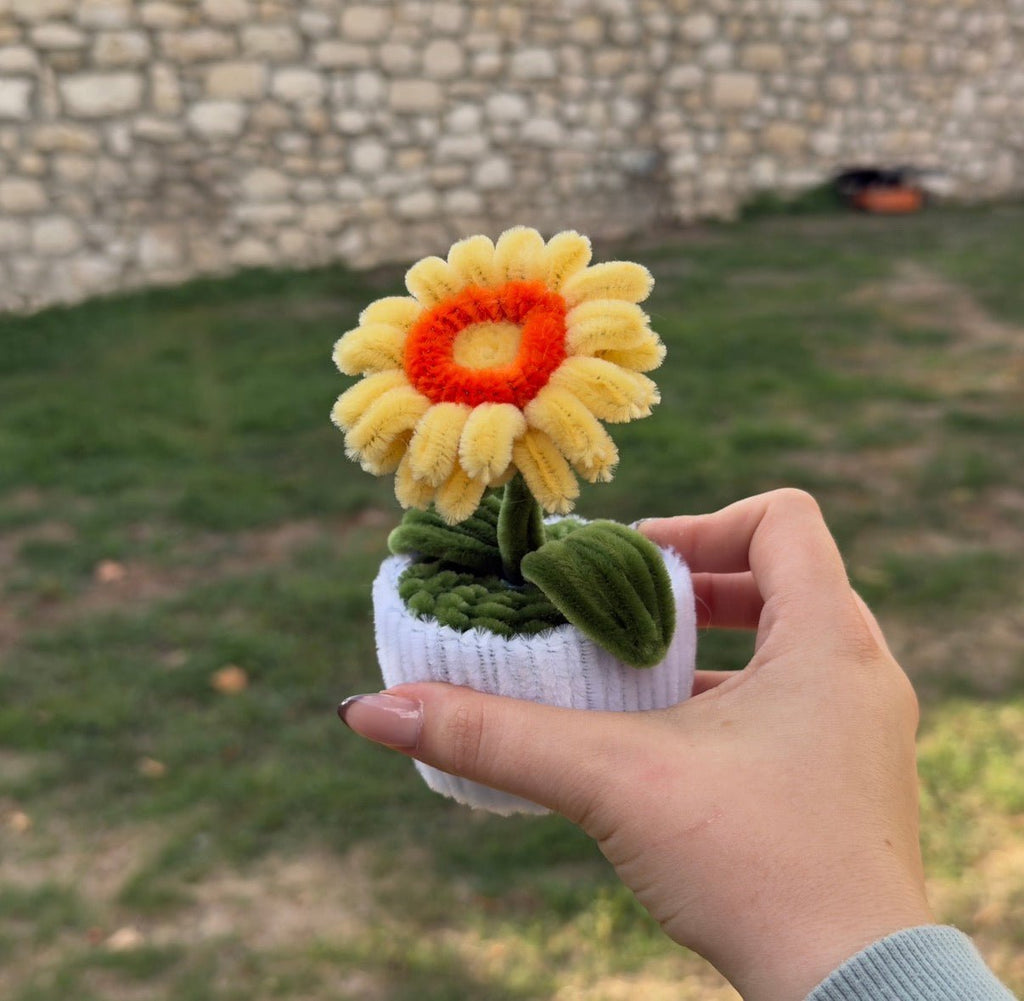 Mini Pot "Soleil d'Or"1