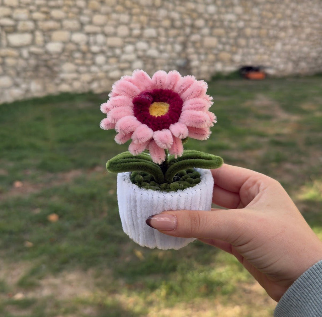 Mini Pot "Soleil Rose"1