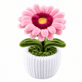 Mini Pot "Soleil Rose"