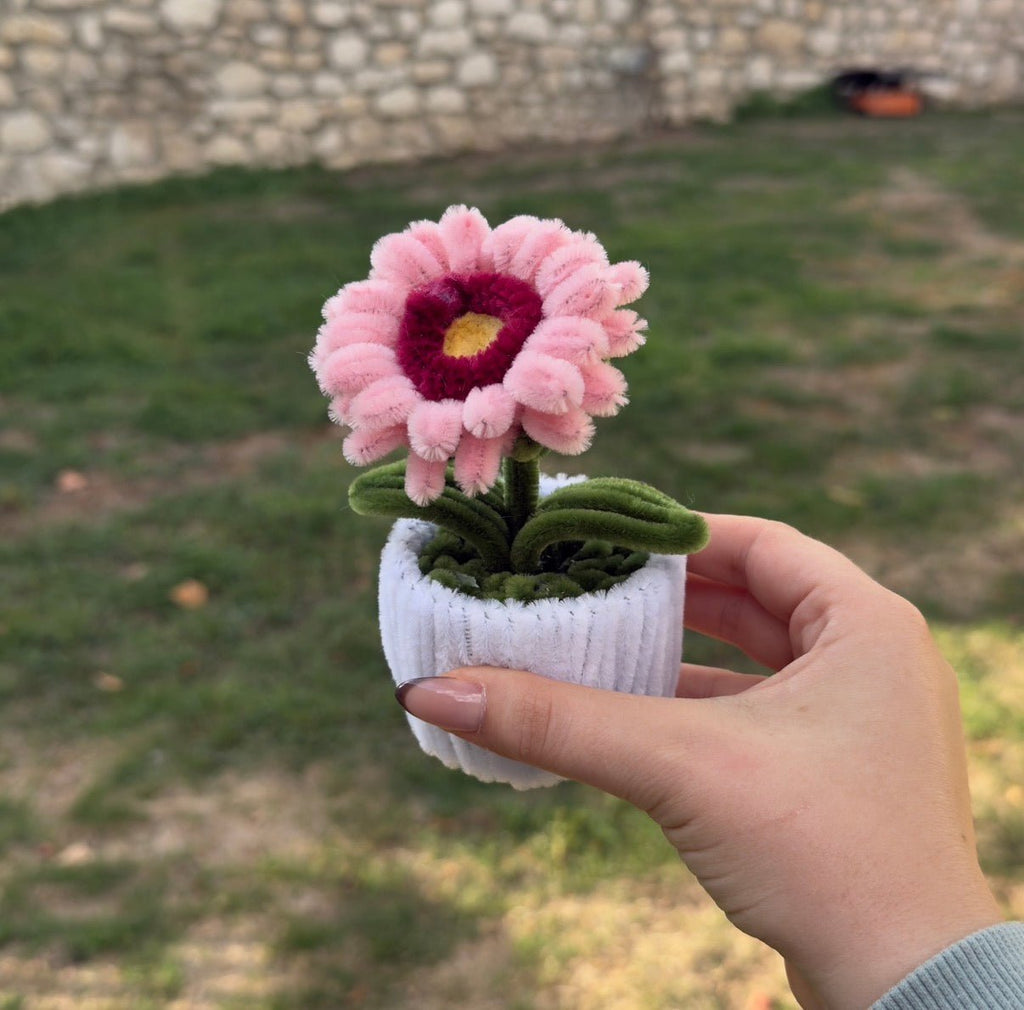 Mini Pot "Soleil Rose"3
