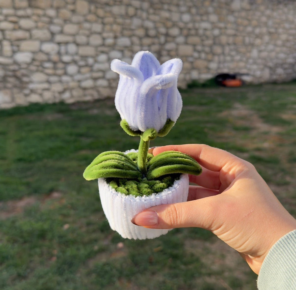 Mini Pot "Tulipe Violet Pastel"1